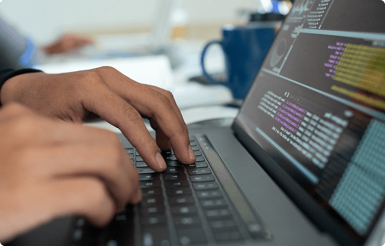 Website design illustration